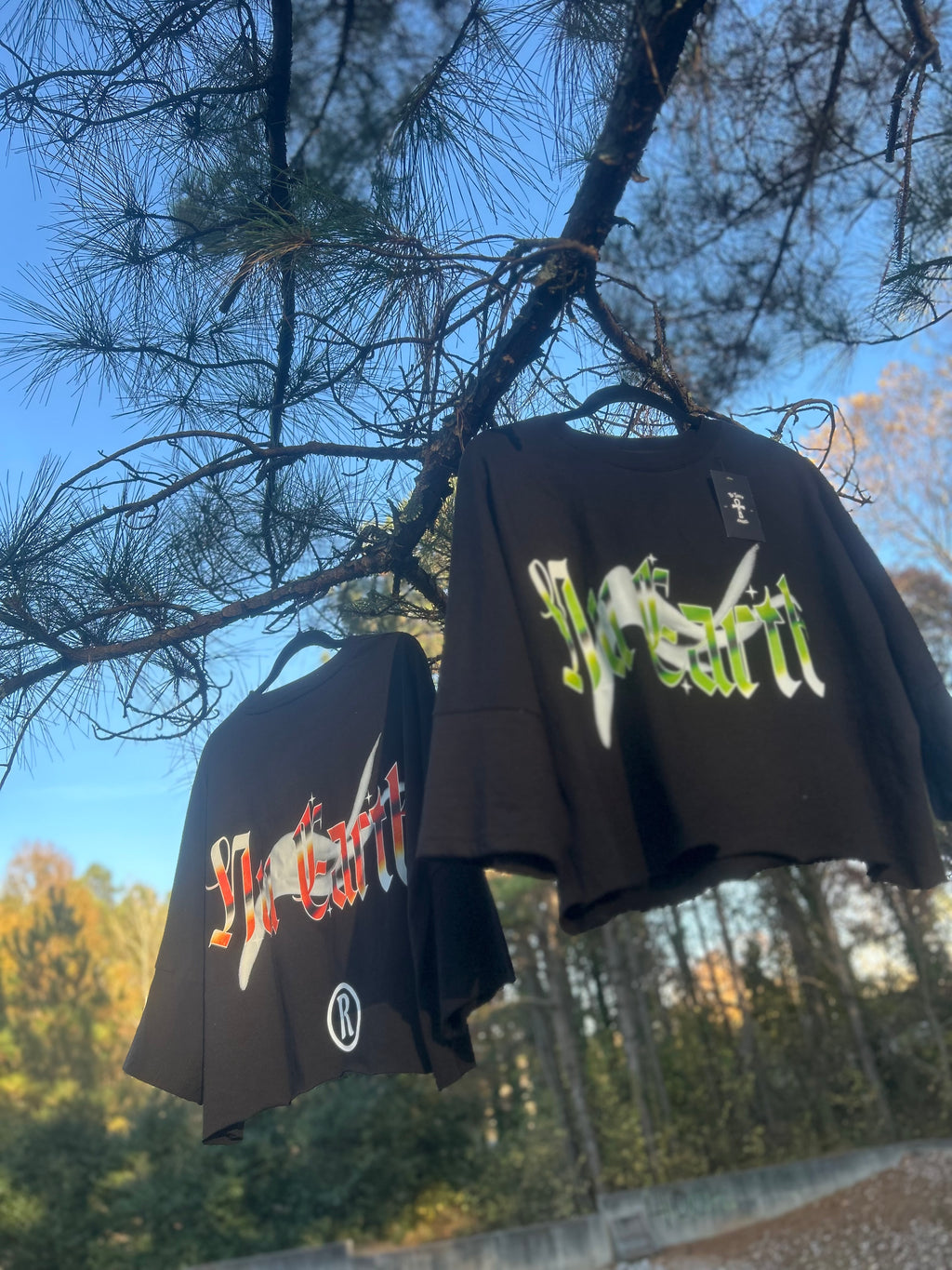 NU Cropped Box Oversized T shirt // Extended Sleeve